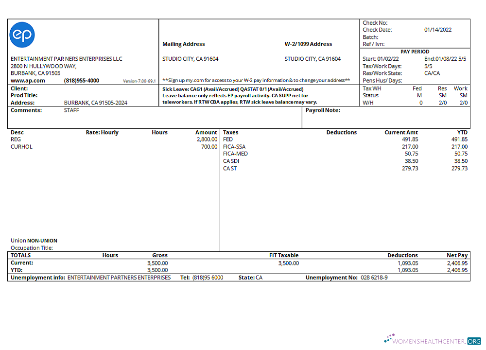 Download USA Entertainment Partners Enterprises financial company pay stub Photoshop template
